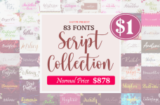 The-Script-Collection-Bundle-Bundle-·-Creative-Fabrica.png